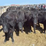 WhatsApp Image 2022-08-28 at 12.30.26 PM (1)