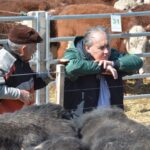 WhatsApp Image 2022-08-28 at 12.30.26 PM (2)