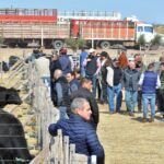 WhatsApp Image 2022-08-28 at 12.30.27 PM (1)