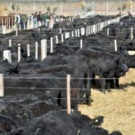 WhatsApp Image 2022-08-28 at 12.30.27 PM