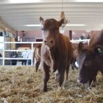 WhatsApp Image 2022-08-28 at 12.31.21 PM (2)