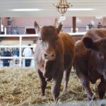 WhatsApp Image 2022-08-28 at 12.31.22 PM (2)