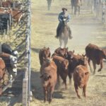 WhatsApp Image 2022-08-28 at 12.31.23 PM (1)