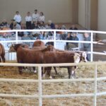 WhatsApp Image 2022-08-28 at 12.31.24 PM (1)