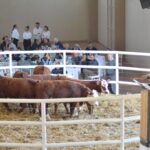 WhatsApp Image 2022-08-28 at 12.31.24 PM