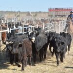 WhatsApp Image 2022-08-28 at 12.31.24 PM (2)