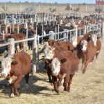 WhatsApp Image 2022-08-28 at 12.31.24 PM (3)