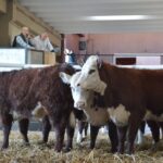 WhatsApp Image 2022-08-28 at 12.31.25 PM (1)