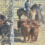 WhatsApp Image 2022-08-28 at 12.31.25 PM