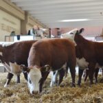 WhatsApp Image 2022-08-28 at 12.31.25 PM (2)