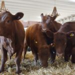 WhatsApp Image 2022-08-28 at 12.31.26 PM (1)