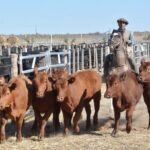 WhatsApp Image 2022-08-28 at 12.31.26 PM