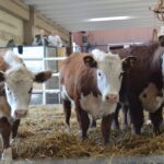 WhatsApp Image 2022-08-28 at 12.31.26 PM (2)