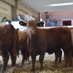 WhatsApp Image 2022-08-28 at 12.31.27 PM