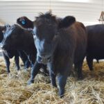 WhatsApp Image 2022-08-28 at 12.31.28 PM (1)