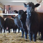 WhatsApp Image 2022-08-28 at 12.31.28 PM