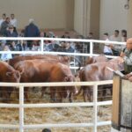 WhatsApp Image 2022-08-28 at 12.31.28 PM (2)