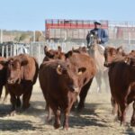 WhatsApp Image 2022-08-28 at 12.31.29 PM (1)