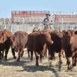 WhatsApp Image 2022-08-28 at 12.31.29 PM