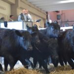 WhatsApp Image 2022-08-28 at 12.31.29 PM (2)