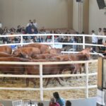 WhatsApp Image 2022-08-28 at 12.31.30 PM (1)