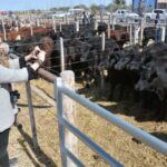 WhatsApp Image 2022-08-28 at 12.31.33 PM (1)