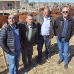 WhatsApp Image 2022-08-28 at 12.31.34 PM (1)