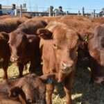 WhatsApp Image 2022-08-28 at 12.31.40 PM (1)