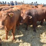 WhatsApp Image 2022-08-28 at 12.31.42 PM