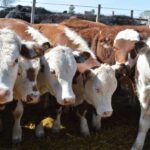 WhatsApp Image 2022-08-28 at 12.31.43 PM (1)