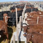 WhatsApp Image 2022-08-28 at 12.31.44 PM (1)