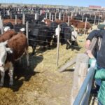 WhatsApp Image 2022-08-28 at 12.31.44 PM (3)