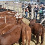 WhatsApp Image 2022-08-28 at 12.31.45 PM (3)