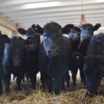 WhatsApp Image 2022-08-28 at 12.32.30 PM