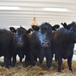 WhatsApp Image 2022-08-28 at 12.32.33 PM (1)