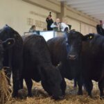 WhatsApp Image 2022-08-28 at 12.32.37 PM (1)