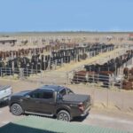 WhatsApp Image 2022-08-28 at 12.32.43 PM (2)