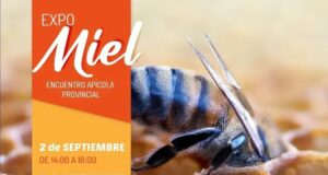 Potrero de los Funes: La Expo Miel promete una gran convocatoria