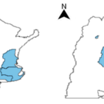 Zonas_Pedro-Pellegrini_