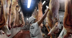 La producción de carne creció un 3,8 por ciento en los primeros siete meses del año