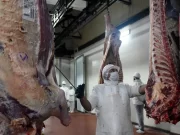 Carne: las exportaciones crecieron 56% en junio