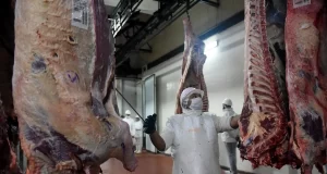 Carne: las exportaciones crecieron 56% en junio