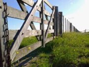 La actividad inmobiliaria rural cayó un 15 % tras la incertidumbre por los cambios en el Gobierno