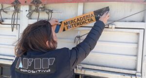Operativos en Bahía Blanca y Mendoza: Afip detectó más de 1200 toneladas de maíz sin registrar