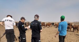 AFIP incautó 2.400 toneladas de granos en un feedlot que presentaba irregularidades