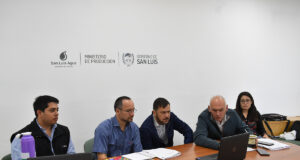 San Luis: analizan la posible aparición de una variante de mosca de los frutos no registrada en la región