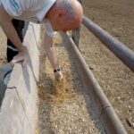 5 – LA AFIP INTERDICTÓ 2.400 TONELADAS DE GRANOS EN UN FEEDLOT QUE PRESENTABA IRREGULARIDADES