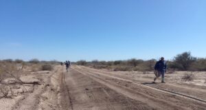 El Ramal Santa Rosa del Cantantal a Monte Verde ya cuenta con un 95% de avance