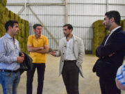 San Luis firmó un contrato para la exportación de 5000 toneladas de Alfalfa