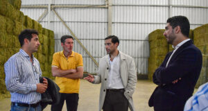 San Luis firmó un contrato para la exportación de 5000 toneladas de Alfalfa
